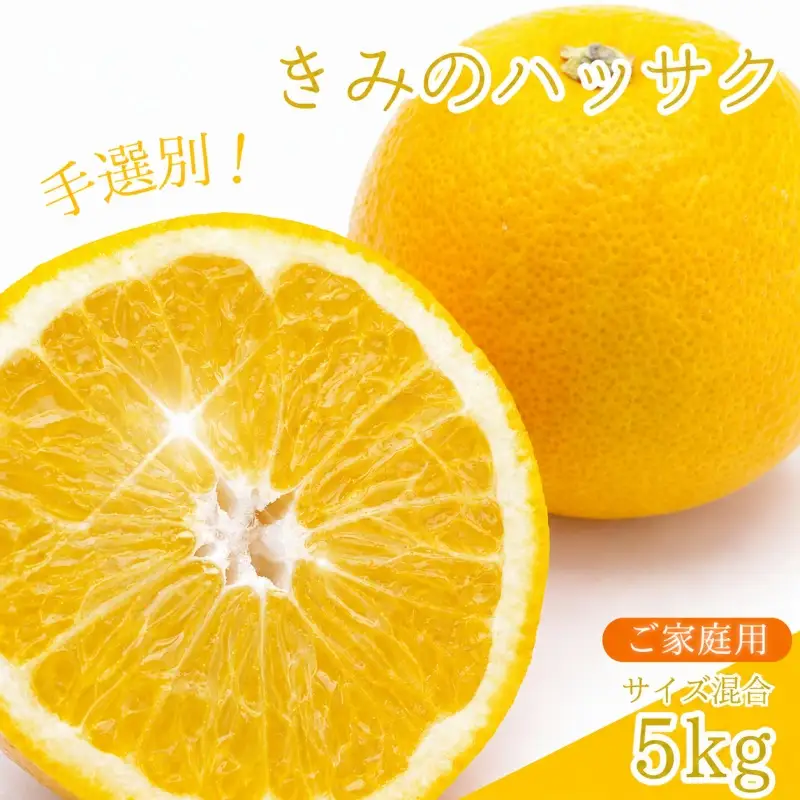  新鮮！はじける食感！「きみのハッサク」5kg サイズ L~2L ご家庭用(秀優混合) /八朔 柑橘 和歌山県 手選別 紀美野町産【kmf021-c-5】