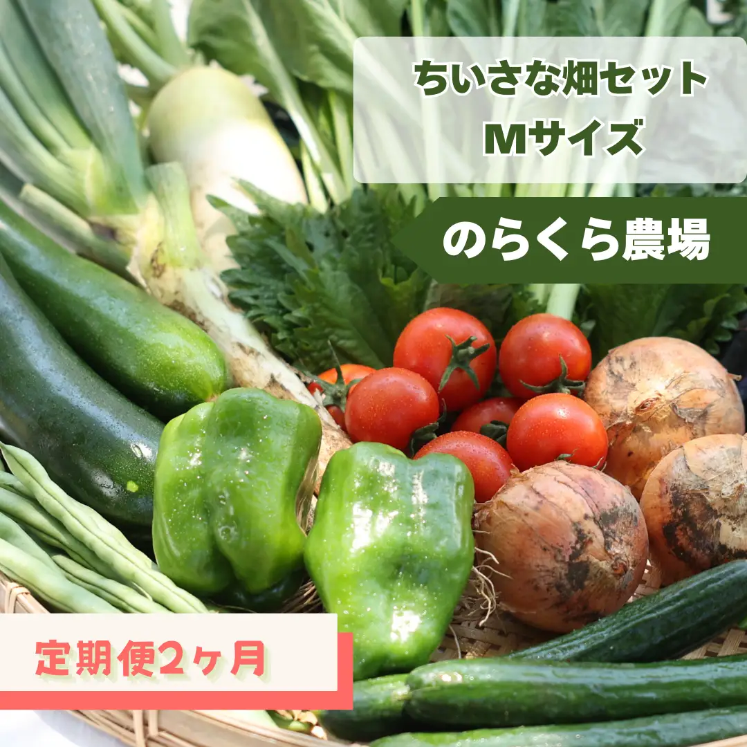 定期便２カ月　有機野菜ちいさな畑セット（Mサイズ　２～３人前）（NK-T501）