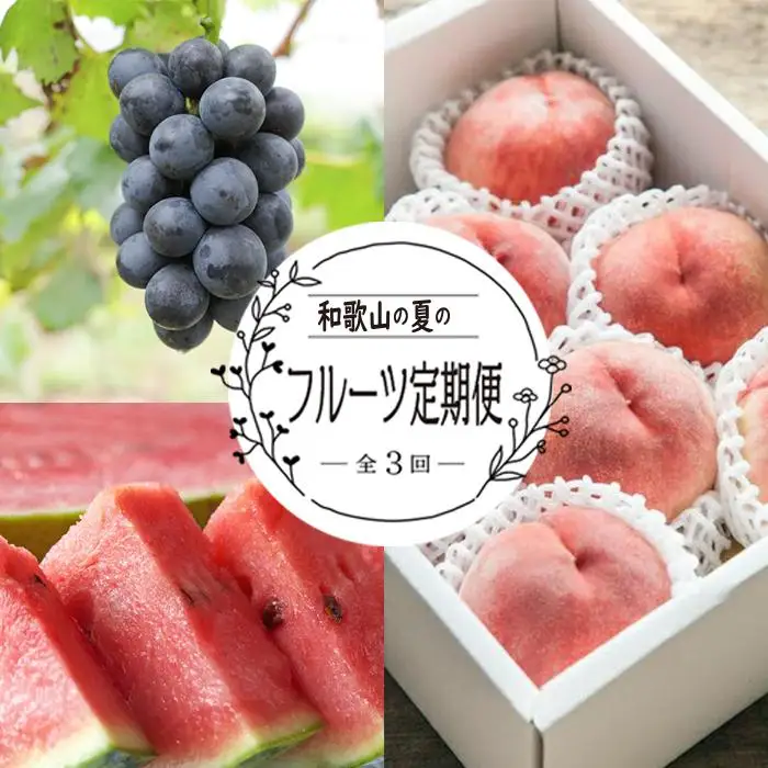 定期便全3回 和歌山の人気の夏のフルーツをお届け！ ［TM204］