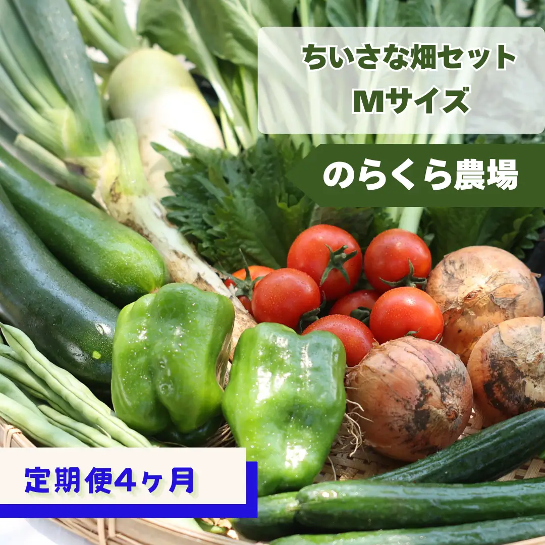 定期便４カ月　有機野菜ちいさな畑セット（Mサイズ　２～３人前）（NK-T503）