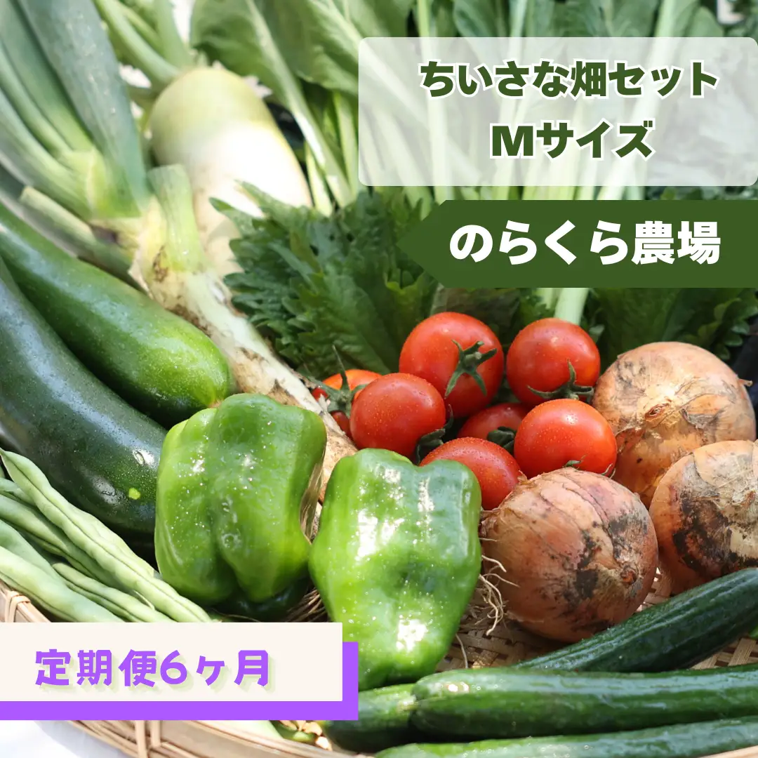定期便６カ月　有機野菜ちいさな畑セット（Mサイズ　２～３人前）（NK-T504）