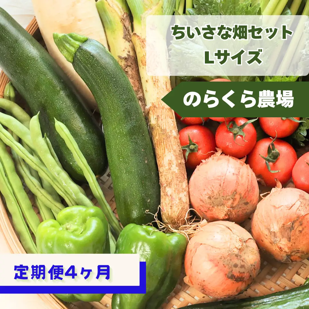 定期便４カ月　ちいさな畑セット（Lサイズ　３～４人前）（NK-T507）