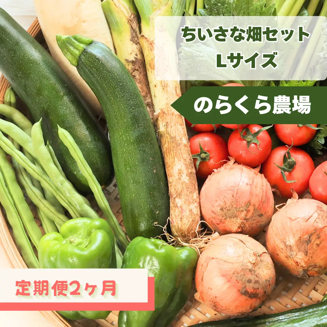 定期便２カ月　ちいさな畑セット（Lサイズ　３～４人前）（NK-T505）