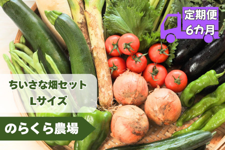 【先行受付・2026年発送】定期便６カ月　ちいさな畑セット（Lサイズ　３～４人前）（NK-T508）