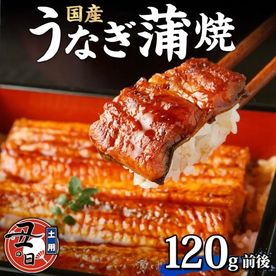 名古屋 うなぎのしら河 国産 鰻 蒲焼き 120g前後×1尾 タレ 山椒付 うなぎ ウナギ かばやき 鰻丼 うな重 鰻重  お中元 お歳暮 ギフト 送料無料 愛知県 名古屋市