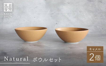 【波佐見焼】Naturalシリーズ ボウル 2個セット (キャメル） 皿 マット【光春窯】[XD92] 波佐見焼