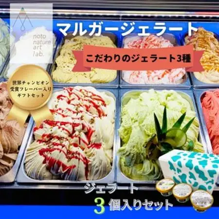 受賞・まるごと能登ジェラート3個_菓子・スイーツ アイス・ジェラート  _【配送不可地域：離島】【1421566】