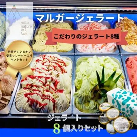 【国内外で数々の受賞歴をもつジェラート店】受賞・まるごと能登ジェラート　8個_菓子・スイーツ アイス・ジェラート  _【配送不可地域：離島】【1421574】