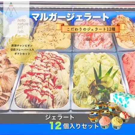 【国内外で数々の受賞歴をもつジェラート店】受賞・まるごと能登ジェラート　12個_ジェラート アイス セット スイーツ おやつ マルガジェラート 国産 産地直送 人気 おすすめ 送料無料 贈答 ギフト お取り寄せ 冷凍 ジェラテリア 石川 ソルベ バニラ_【配送不可地域：離島】【1421589】
