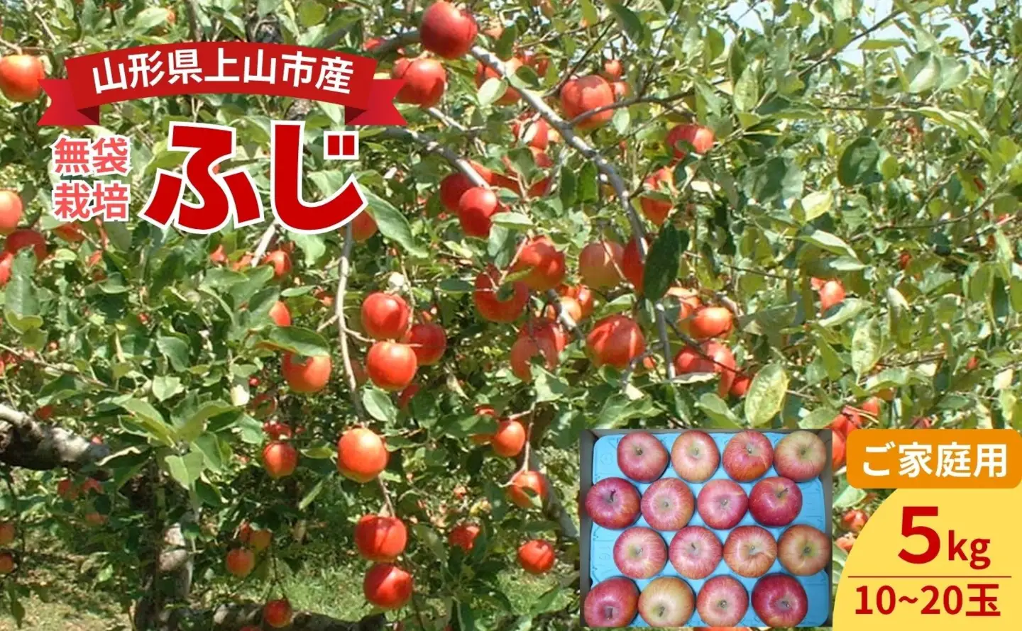 りんご（ふじ）５ｋｇ　ご家庭用　0017-2630
