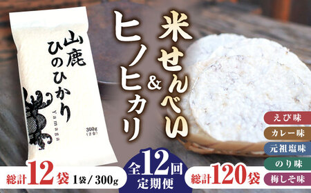 【12回定期便】【おつまみにも♪】米せんべい（えび味、カレー味、元祖塩味、のり味、梅しそ味）&amp; ヒノヒカリ【せんべい工房】[ZBQ016]