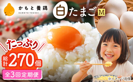 【全3回定期便】白たまご M玉 90個（85個＋5個割れ保証）【株式会社 かもと養鶏】タマゴ 玉子 熊本県 卵 国産 新鮮 しろたまご M玉 濃厚  [ZCA006]