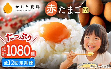 【全12回定期便】赤たまご M玉 90個（85個＋5個割れ保証）【株式会社 かもと養鶏】タマゴ 玉子 熊本県 卵 国産 新鮮 あかたまご M玉  濃厚   [ZCA016]