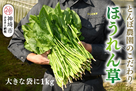 ほうれん草 1kg バラ詰め(大きな袋に1kg)【佐賀県脊振山麓産】(H091116)