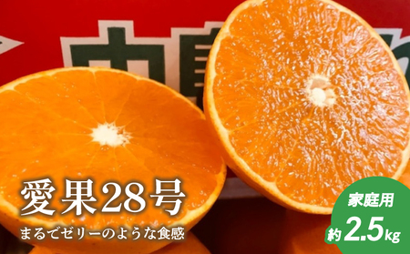 【2026年12月上旬から発送】愛果28号 (紅まどんな と同品種) 約2.5kg 家庭用 | 紅まどんな と同品種  みかん 【TMN105_x】