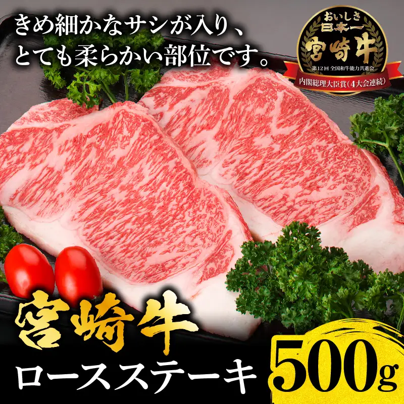 牛肉 ステーキ 牛肉[宮崎牛 サーロイン・リブロース 500g]