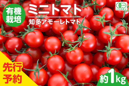 【先行予約】有機栽培ミニトマト　知多アモーレトマト　約1kg