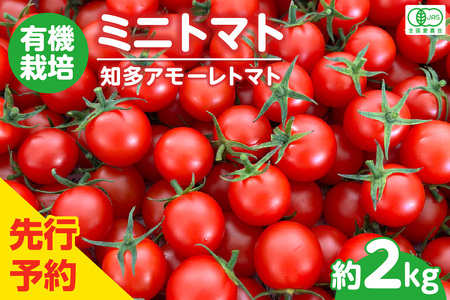 【先行予約】有機栽培ミニトマト　知多アモーレトマト　約2kg