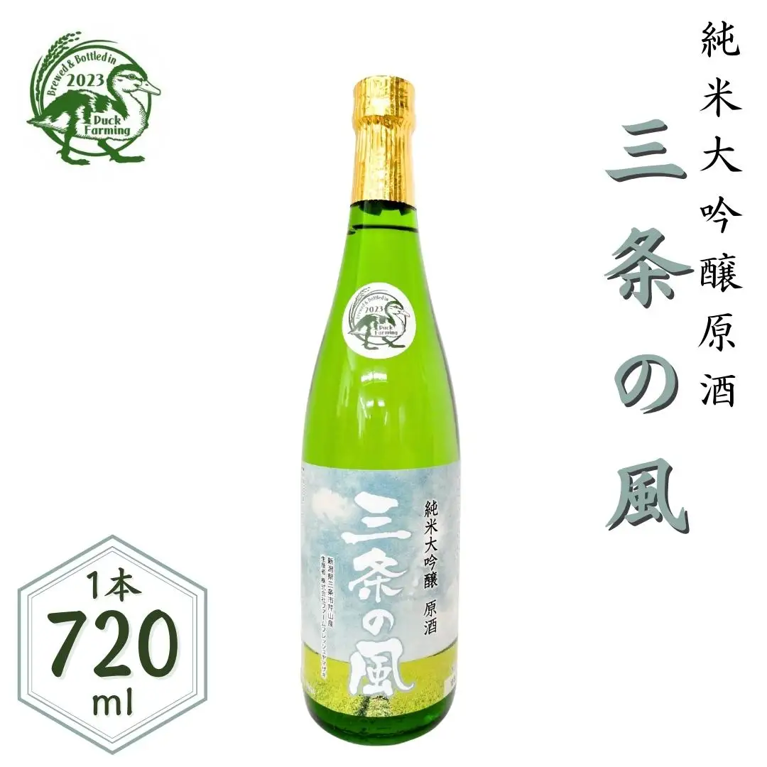 純米大吟醸 原酒「三条の風」 720ml 1本 日本酒 新潟県 数量限定 五百万石を使用 【011S138】
