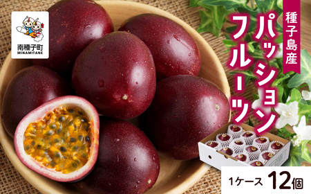 【先行予約】《令和8年度》 種子島産パッションフルーツ 1ケース ( 12個入り )  パッションフルーツ 果物 フルーツ 食品 グルメ お取り寄せ お中元 人気 おすすめ 返礼品 南種子町 鹿児島 かごしま 【有限会社新栄物産】
