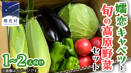 【 8月下旬発送開始 】 嬬恋キャベツ と旬の 高原 野菜 セット 1～2人 様向け [AK001tu]