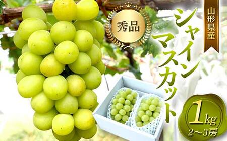 《2026年発送 先行予約》 山形県産 シャインマスカット 2～3 房 1kg マスカット ぶどう ブドウ 葡萄 デザート フルーツ 果物 くだもの 果実 食品 山形県 FSY-0802