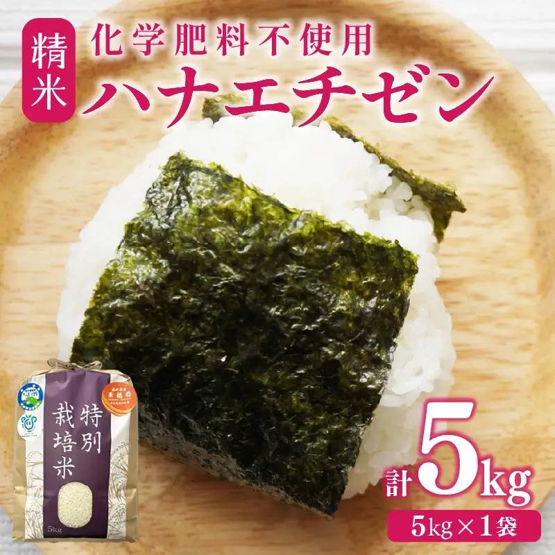 【先行予約】【令和8年産】 化学肥料不使用ハナエチゼン 精米 5kg（5kg×1袋）　/ 米 白米 福井県あわら市産 ブランド米 美味しい 特別栽培米 減農薬 安心な米 旨味 甘み エコファーマー 冷蔵保管米 ※2026年8月下旬より順次発送 [aw010-a041]