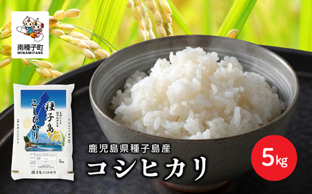 《令和7年産米 》  種子島産コシヒカリ5kg 【新栄物産】