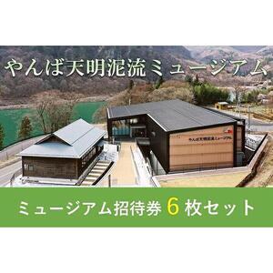 やんば天明泥流ミュージアム　招待券セット(6枚)【入場券 おすすめ 群馬県 長野原町 北軽井沢】