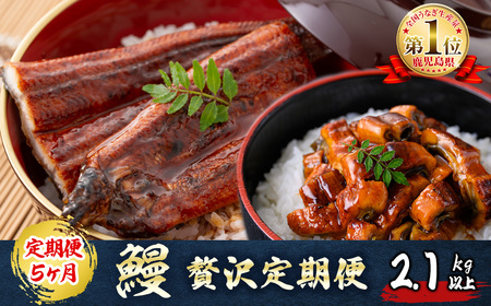 【定期便全5回】うなぎ2.1kg！5ヶ月間うなぎが楽しめる定期便！鰻 うなぎ ウナギ 鰻 蒲焼き かばやき きざみ鰻 刻みうなぎ 国産 九州産 鹿児島県産 冷凍 レンジ 簡単 うな丼 ひつまぶし 惣菜 おかず 頒布会 おつまみ 薬味 t0098-001