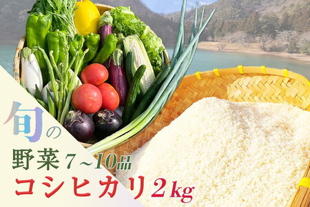 【6回定期便】旬野菜 7～10品 コシヒカリ2kg 野菜 精米