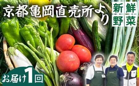 旬の朝採れ 新鮮 野菜セット 野菜