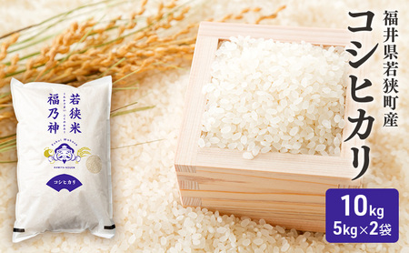米 令和8年産 コシヒカリ 10kg (5kg×2)  白米 精米 単一原料米 一等米 ブランド米