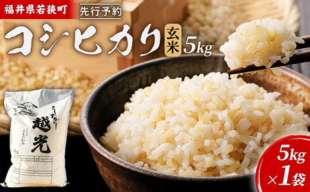 令和8年産福井県若狭町コシヒカリ（一等米）玄米 5kg（神谷農園） 5kg×1袋 お米 ブランド米 銘柄米 ご飯 おにぎり お弁当 産地直送 和食 主食