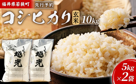 令和8年産福井県若狭町コシヒカリ（一等米）玄米 10kg（神谷農園） 5kg×2袋 お米 ブランド米 銘柄米 ご飯 おにぎり お弁当 産地直送 和食 主食
