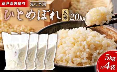 令和8年産福井県若狭町ひとめぼれ（一等米）玄米 20kg（神谷農園） 5kg×4袋 お米 ブランド米 銘柄米 ご飯 おにぎり お弁当 産地直送 和食 主食