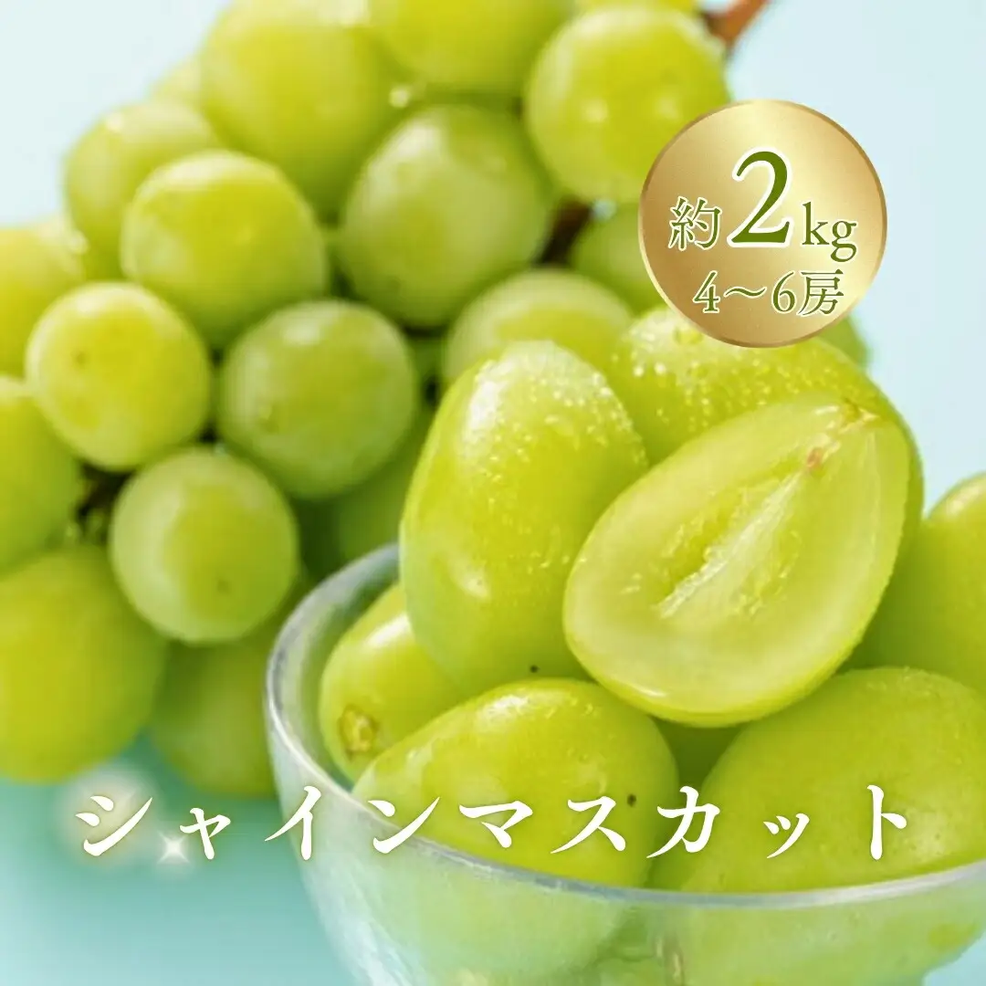【2026年先行予約】シャインマスカット 約2kg（4~6房）※最低1.8kg以上|シャインマスカット2kg