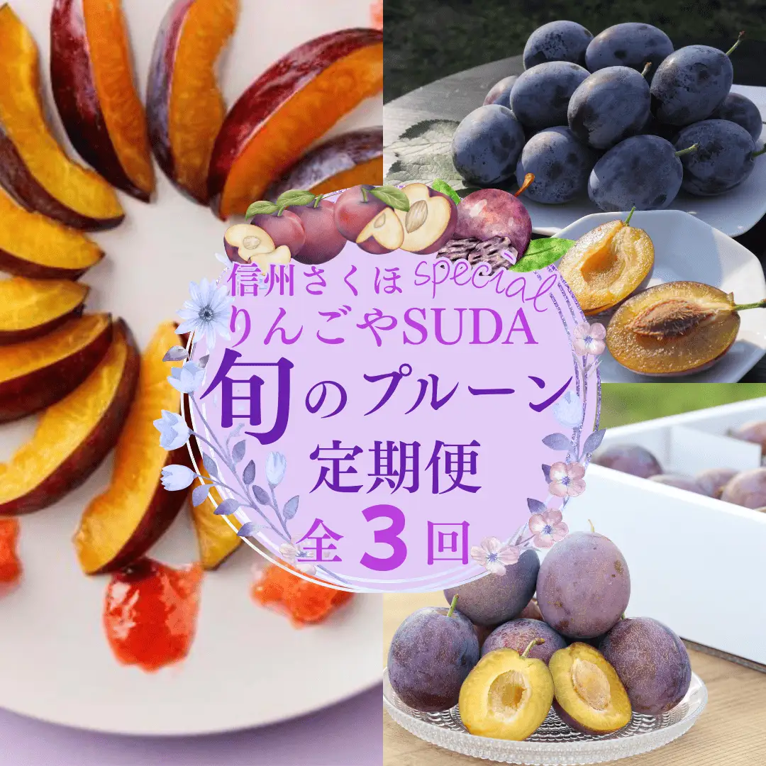 【予約便・2026年発送】りんごやSUDA 定期便全3回　旬の生プルーン（RS-T502）