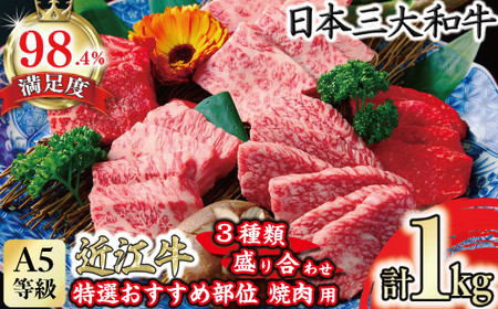 近江牛 おすすめ部位 焼肉 3種 盛り合わせ 合計 1kg 【FO04W】【 近江牛 】 牛肉