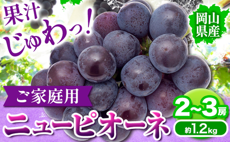 ニューピオーネ ご家庭用 1.2kg 2 ~ 3房