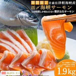 【期間限定発送】活〆海峡サーモン　お刺身さくと生切身A(冷蔵)　特製漬タレ付