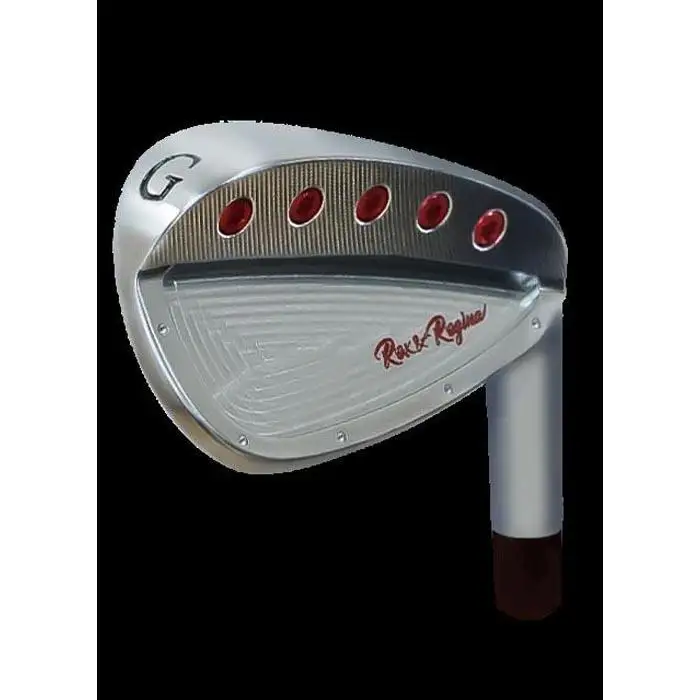 Rex&Regina FORGED IRON GW N.S.PRO 950 GH フレックスSR アイアン 1本