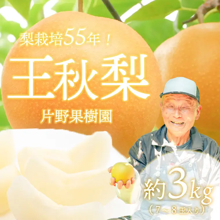 王秋梨 約3kg 10月上旬発送  梨 先行受付
