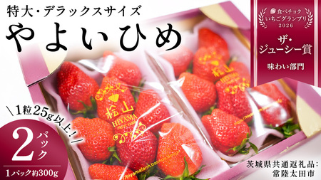 やよいひめ (2パック)　特大・デラックスサイズ（茨城県共通返礼品／常陸太田市）  [DY013sa]