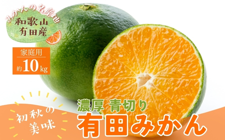 【訳あり・ご家庭用】青切り有田みかん　約10kg+200g(痛み補償分)【2026年9月中旬～10月上旬頃に順次発送予定】【AA90085-ard046D】