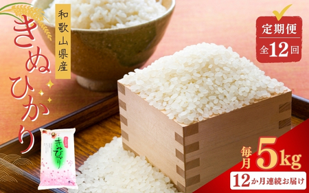 【12回定期便】令和7年産きぬひかり 5kg×12回 定期便 精米 【sml430-kinu-5x12】