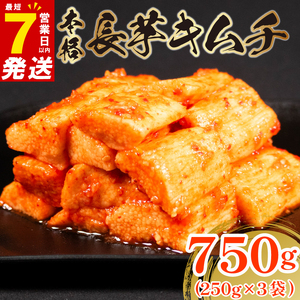 【 旨辛 】 長芋 キムチ 750g 250g×3 キムチ 本格 冷蔵 手作り かわち屋