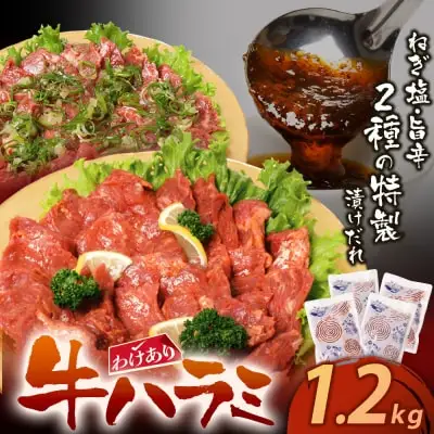 Z61-46 寄附額改定↓↓ 【訳あり】牛ハラミ肉2種(旨辛ダレ、ねぎ塩) 1.2kg 牛肉