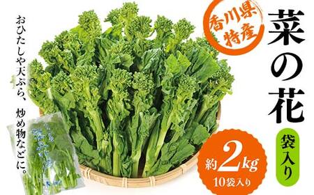 【先行予約2026年12月～2027年3月頃お届け】 菜の花 約2kg (10袋入り) なの花 菜の花 おひたし 天ぷら 炒め物 春 野菜 食品 名産 四国 F5J-925