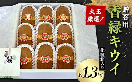 【先行予約2026年12月～2027年3月頃お届け】《贈答用》大玉厳選！香緑キウイ 化粧箱入り (約1.3kg) フルーツ 果物 くだもの キウイ 香緑 贈答用 ギフト 贈り物 デザート キウイフルーツ 食品 名産 四国 F5J-671